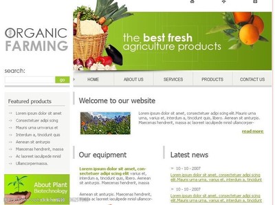 個性網(wǎng)頁模板設(shè)計(jì) 點(diǎn)亮電子商務(wù)經(jīng)營的視覺引擎